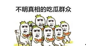 吃瓜群众娱乐大百科视频,揭秘娱乐圈幕后故事与趣味瞬间